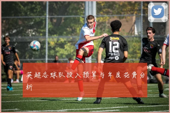 英超各球队投入预算与年度花费分析